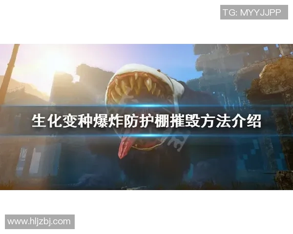 飞盘运动必备防护垫选购指南与推荐技巧分享MBA